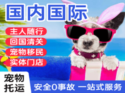 霍林郭勒机场物流国际宠物托运 【国